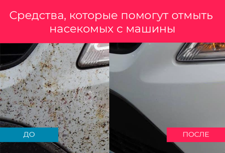 Отмыть насекомых с автомобиля